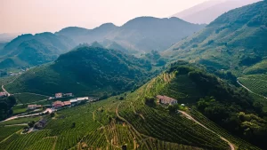 “Cin-Cin!” to Prosecco - Italy's Answer to French Champagne.